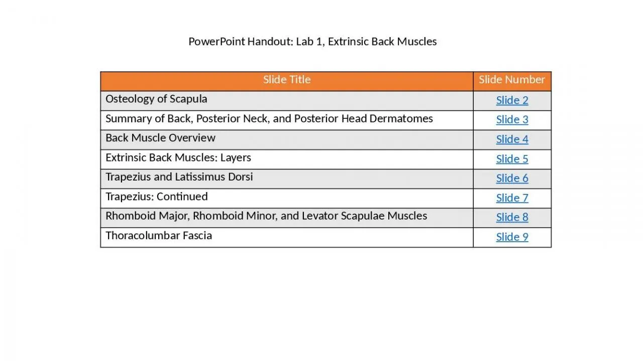 PPT-PowerPoint Handout: Lab 1, Extrinsic Back Muscles