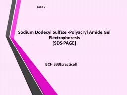 Sodium  Dodecyl   Sulfate