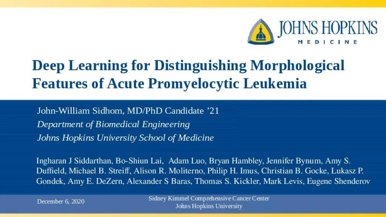 PPT-Deep Learning for Distinguishing Morphological Features of Acute Promyelocytic Leukemia