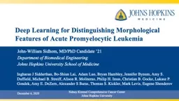 Deep Learning for Distinguishing Morphological Features of Acute Promyelocytic Leukemia