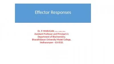 Effector Responses D r . P.