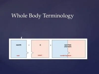 Whole Body Terminology The