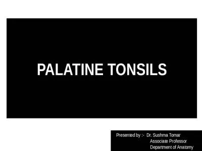 PALATINE  TONSILS Presented by :-  Dr.