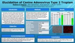 Elucidation of Canine Adenovirus Type 2 Tropism