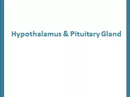 Hypothalamus  & Pituitary Gland