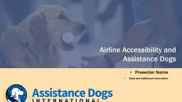 Airline Accessibility and Assistance Dogs