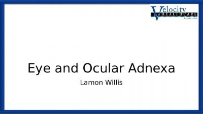 Eye and Ocular Adnexa Lamon Willis