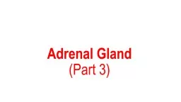 Adrenal Gland (Part 3) Adrenal medulla: