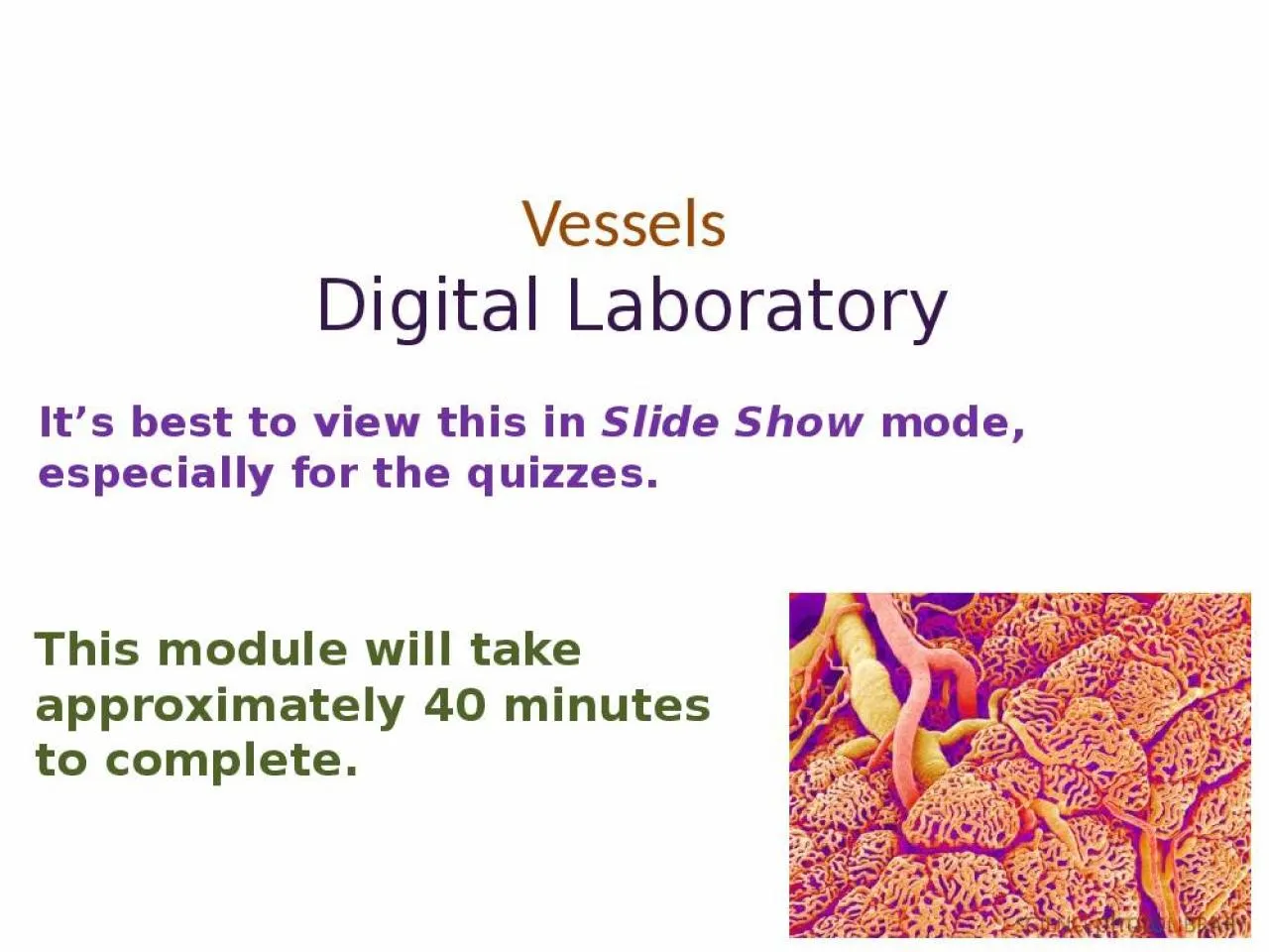 PPT-Vessels Digital Laboratory