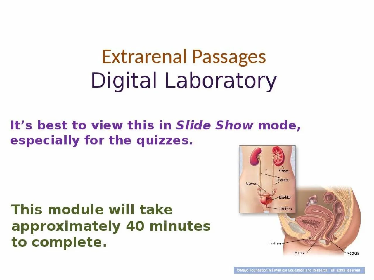 PPT-Extrarenal Passages Digital Laboratory