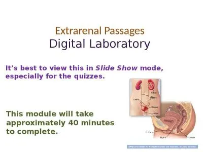 Extrarenal  Passages Digital Laboratory