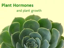 Plant Hormones a nd plant growth