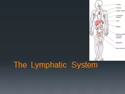 The Lymphatic Syste m What is the lymphatic system?
