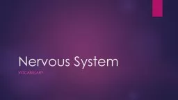 Nervous System	 vocabulary