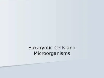 Eukaryotic Cells and Microorganisms