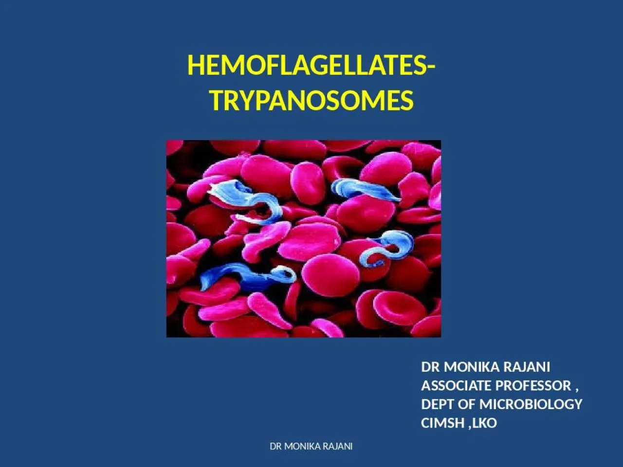 PPT-HEMOFLAGELLATES- TRYPANOSOMES