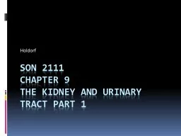 Lecture 9  The Kidney and Urinary Tract Part 1