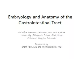 Embryology and Anatomy of the Gastrointestinal Tract