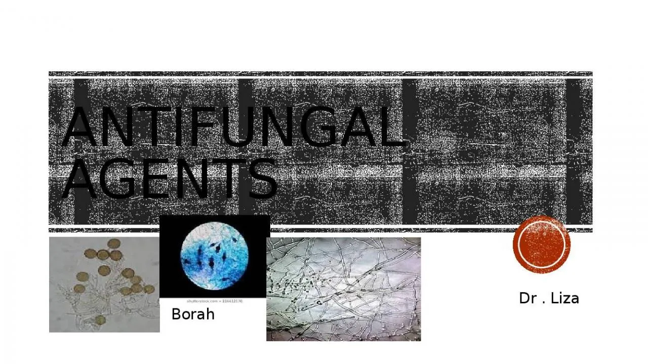 PPT-ANTIFUNGAL AGENTS