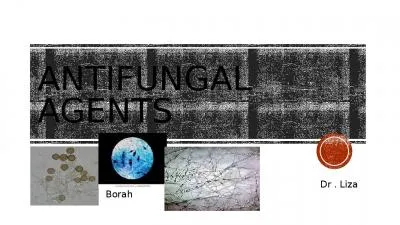 ANTIFUNGAL  AGENTS                                                                   