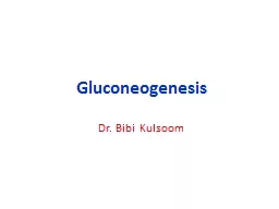 Gluconeogenesis Dr. Bibi  Kulsoom