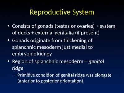 Reproductive System Consists of gonads (testes or ovaries) + system of ducts + external