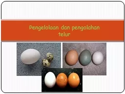 PPT-Pengelolaan dan pengolahan