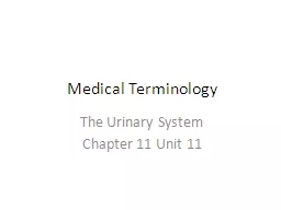 Medical Terminology The Urinary System