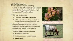 Allele Expression Crosses between pure breeding individuals that differ in one or two