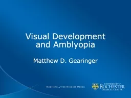 Visual Development  and Amblyopia