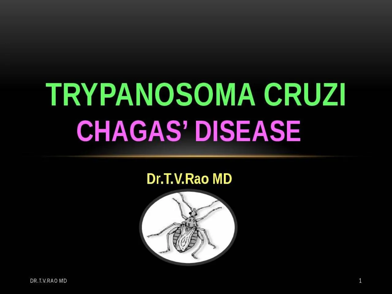 PPT-Dr.T.V.Rao MD Trypanosoma cruzi