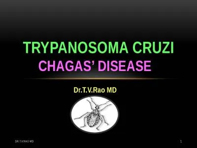 Dr.T.V.Rao MD Trypanosoma cruzi