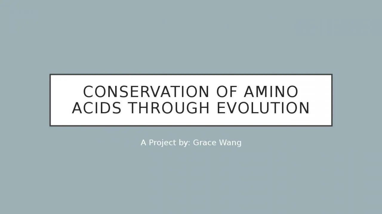 PPT-Conservation of Amino acids through evolution