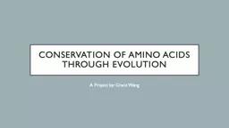 Conservation of Amino acids through evolution