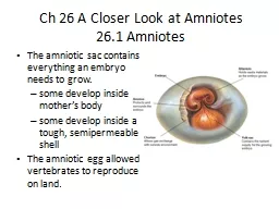 Ch 26 A Closer Look at Amniotes