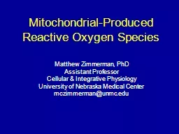 Mitochondrial-Produced Reactive Oxygen Species