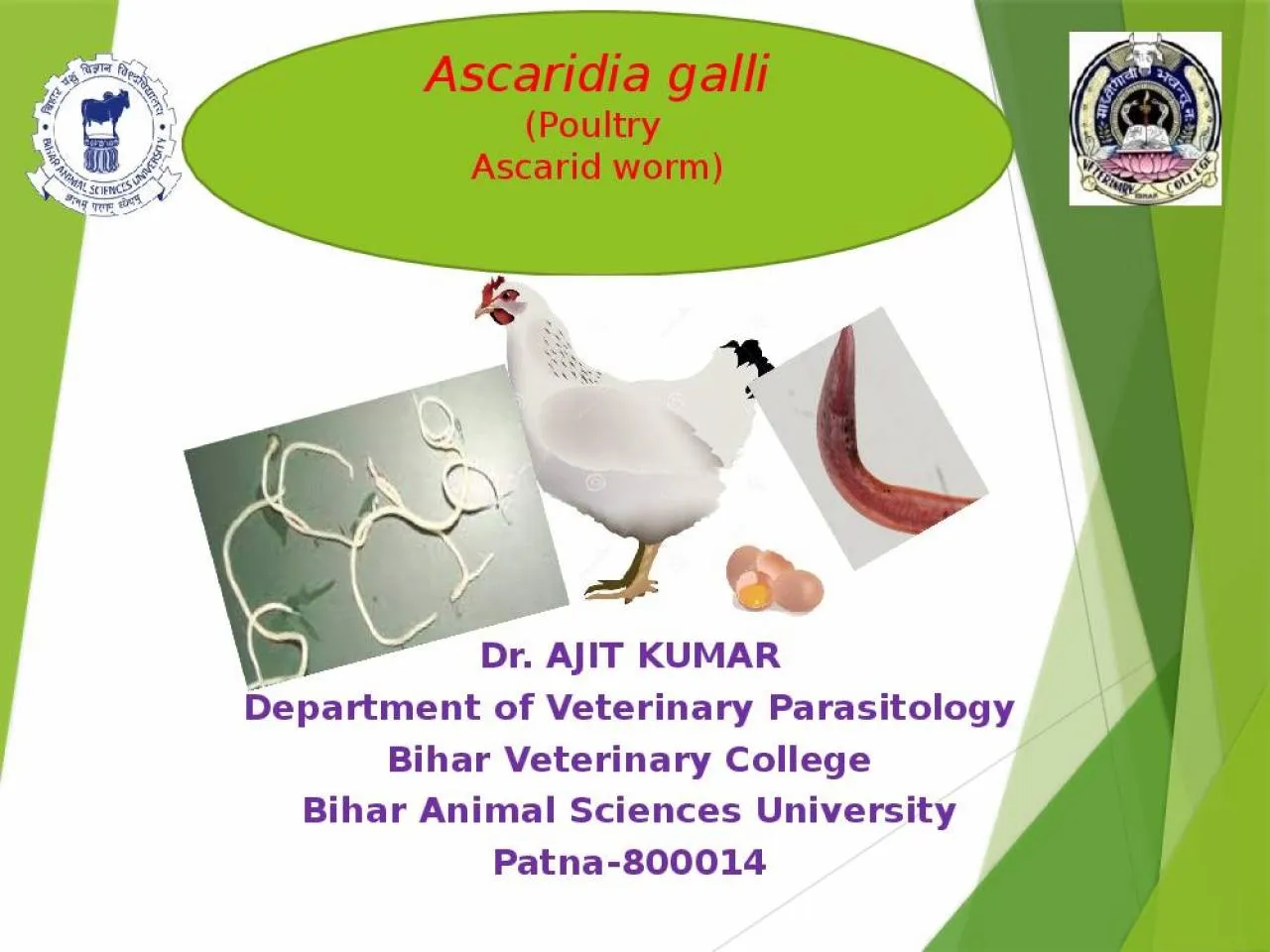 PPT-Dr. AJIT KUMAR Department of Veterinary Parasitology