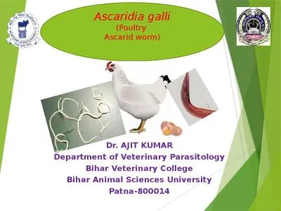 Dr. AJIT KUMAR Department of Veterinary Parasitology