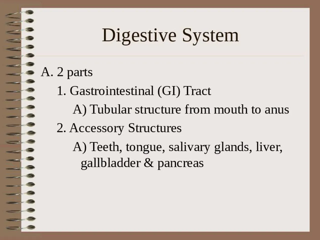 PPT-Digestive System A. 2 parts