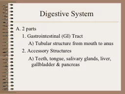 Digestive System A. 2 parts