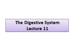 The Digestive System Lecture