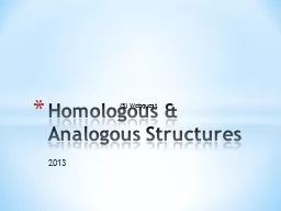 2013 Homologous & Analogous Structures