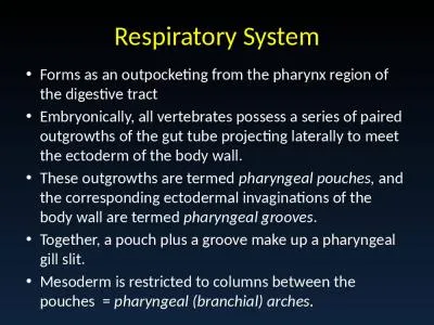 Respiratory System Forms