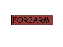 PPT-FOREARM 1 The Fore arm is divided into