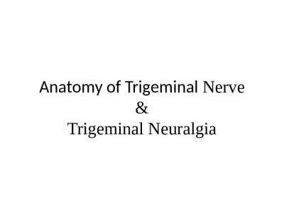 Anatomy of Trigeminal  Nerve