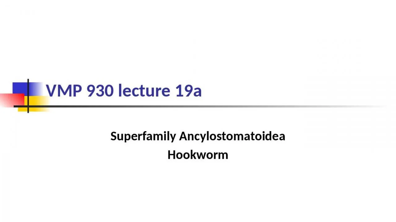 PPT-VMP 930 lecture 19a Superfamily