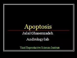 Apoptosis Jalal  Ghasemzadeh