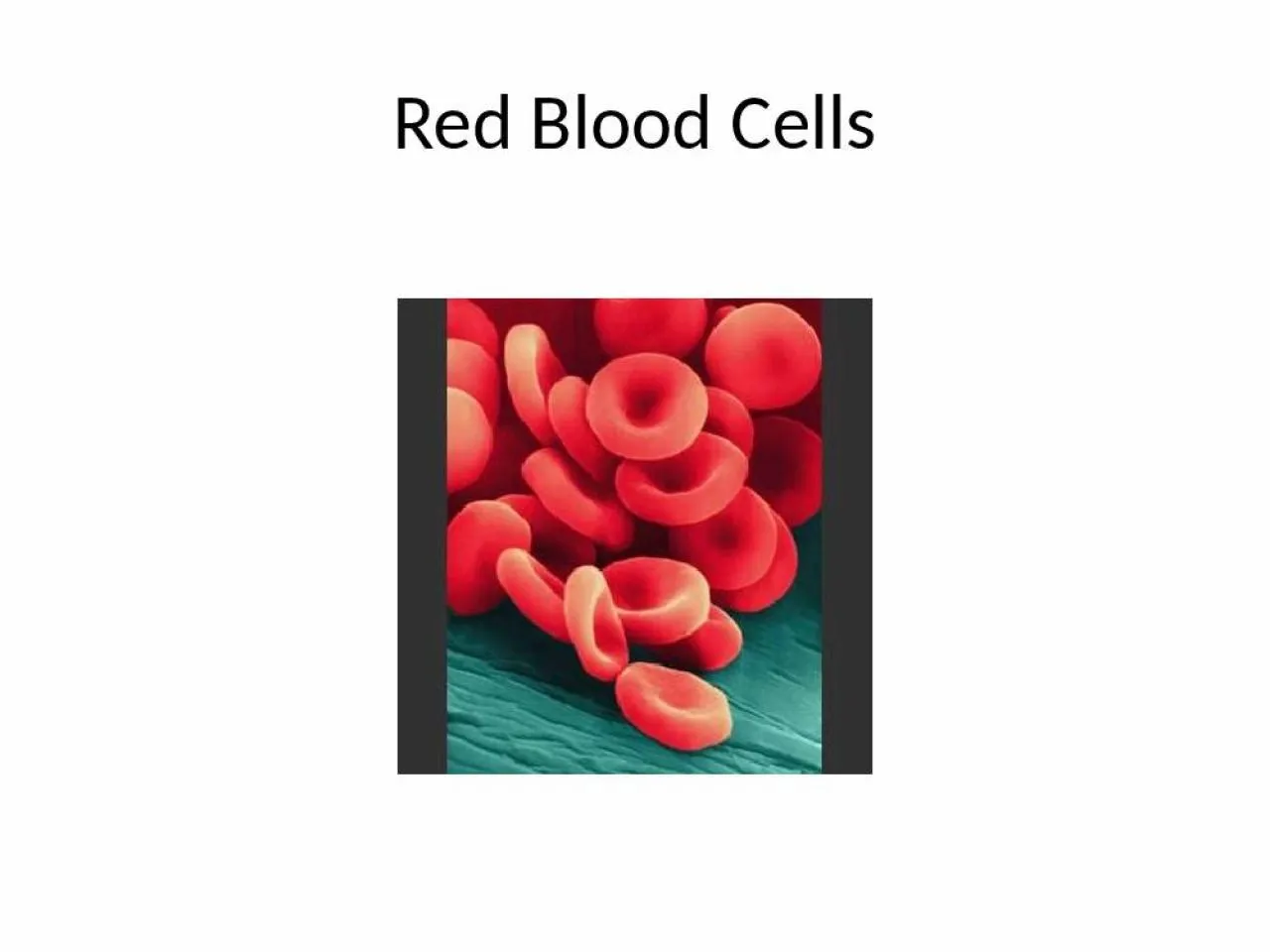 PPT-Red Blood Cells Adapted exclusively for producing and packaging hemoglobin which transports