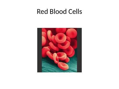 Red Blood Cells Adapted exclusively for producing and packaging hemoglobin which transports oxygen