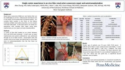 Single center experience in ex vivo hilar renal artery aneurysm repair and autotransplantation